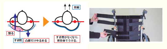 COGY(コギー)/プロファンドMサイズ