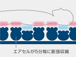 スモールチェンジ　ラグーナ