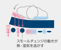 スモールチェンジ　ラグーナ