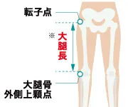 マルチフィットベッド MFB-930SW 転子点から大腿骨外側上顆点までの大腿長